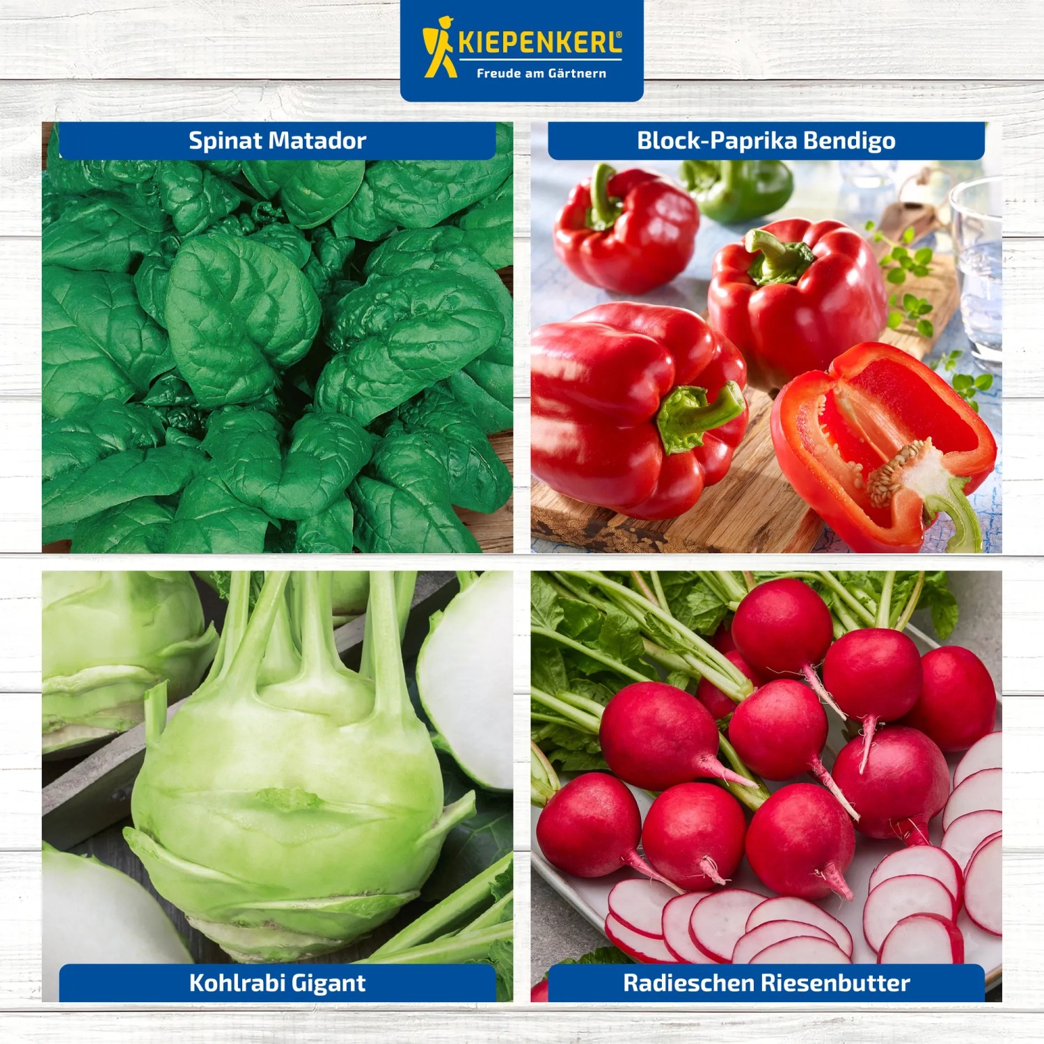 Gemüsesamen-Set für Hochbeet: Spinat, Paprika, Kohlrabi und Radieschen.