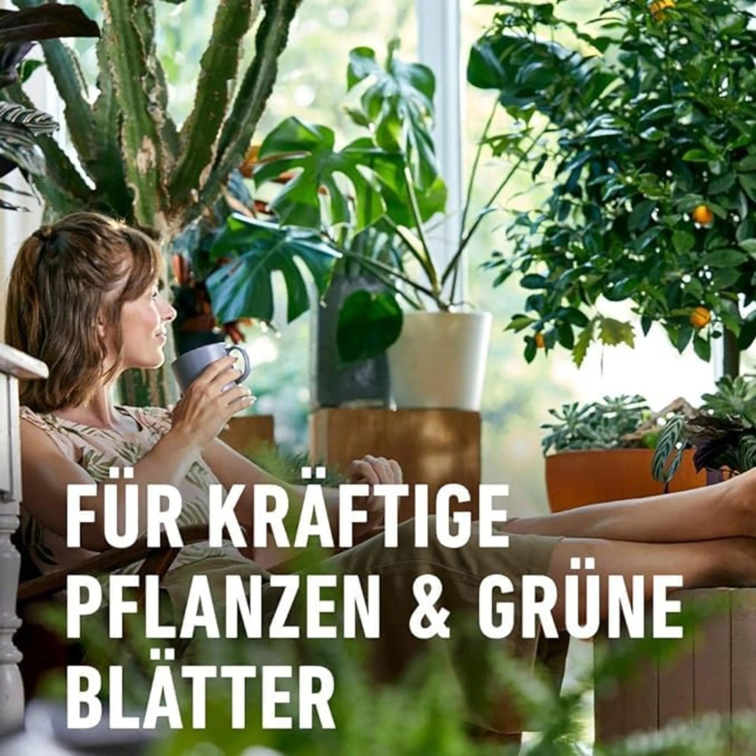 Compo Grnpflanzen- und Palmendnger mit Sofortwirkung 1 l kaufen bei OBI