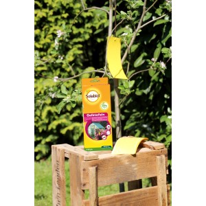 Solabiol Gelbtafeln 7 Stück zur Schädlingsbekämpfung im Garten, auf Holzpalette und an Baum hängend.