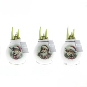 Amaryllis im Wachsmantel "Santa & Friends" Auswahl