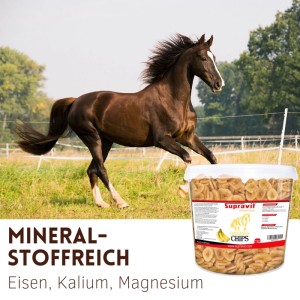 Braunes Pferd galoppiert auf Wiese, daneben Eimer Supravit Bananenchips Pferdeleckerli, mineralstoffreich.