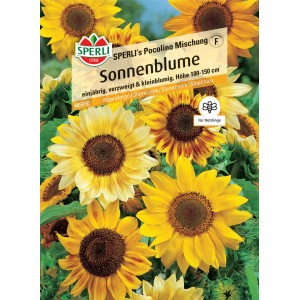 Samenpackung Sperli Sonnenblume Pocolino Mischung mit gelben und orangefarbenen Blüten.