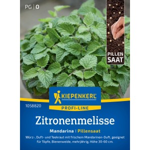 Kiepenkerl Zitronenmelisse Mandarina Pillensaat: buschige, grüne Pflanze im Topf, Samentüte mit Pillensaat.