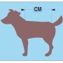 Grafik zur Messung der Rückenlänge für Hundepullover. Anleitung zur Größenwahl.