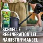 Compo Grünpflanzen- und Palmendünger 1 l Flasche neben Gießkanne und Pflanze.