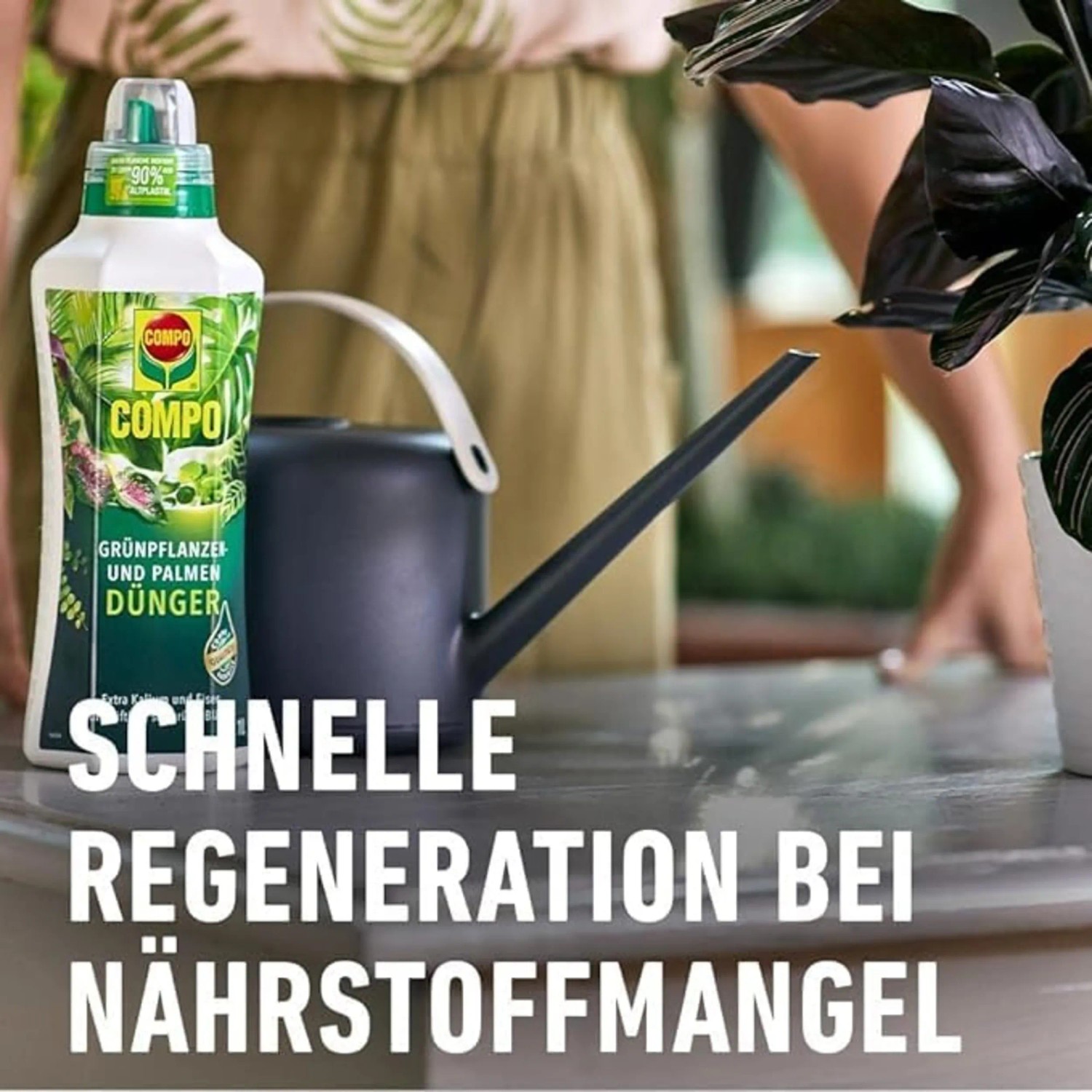 Compo Grünpflanzen- und Palmendünger 1 l Flasche neben Gießkanne und Pflanze.