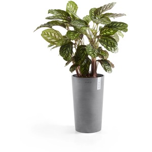 Ecopots Pflanztopf Amsterdam, Ø 30 cm, grau, mit grüner Pflanze. Ideal für Innen- und Außenbereich.