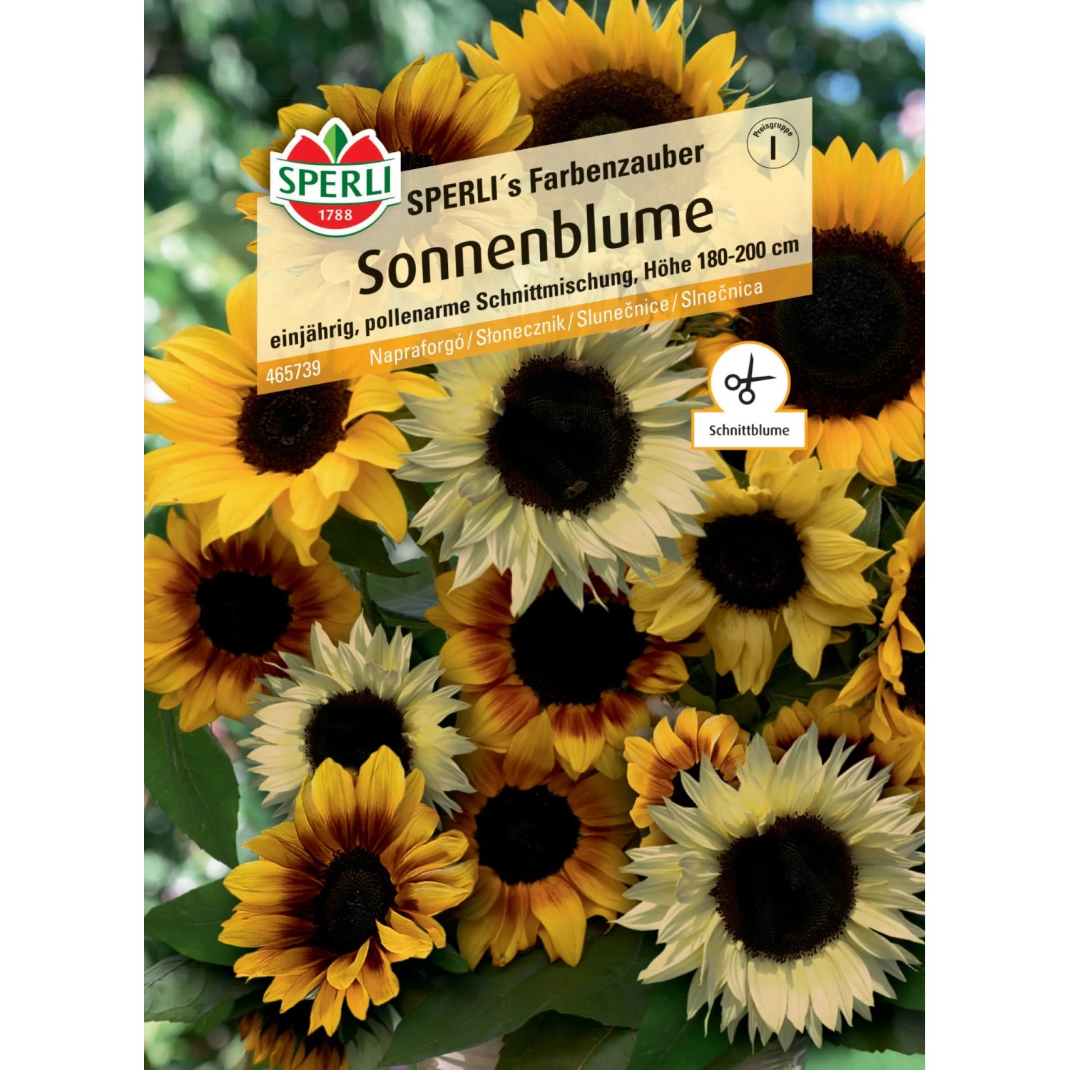saatgut adventskalender selber machen Dein Demeter Saatgut Adventskalender kaufen ➤ mit Keimgarantie main image 1