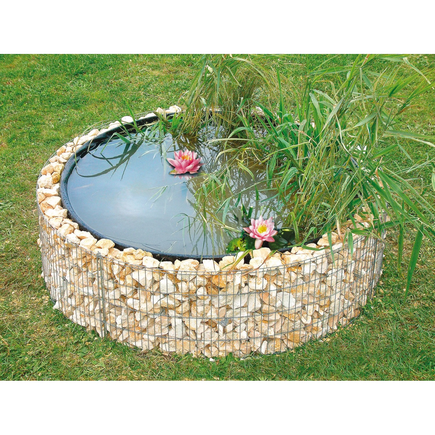 Runder Gabionen-Hochteich (Ø 146 cm) mit Steinen, Wasser, Seerosen und Pflanzen im Garten.