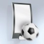 Steinel Außenwandleuchte L22 S mit Bewegungsmelder, Edelstahlblende, mit Fußball.