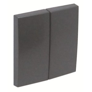 Graue Logus Serienwippe aus Kunststoff für Schaltereinsätze.