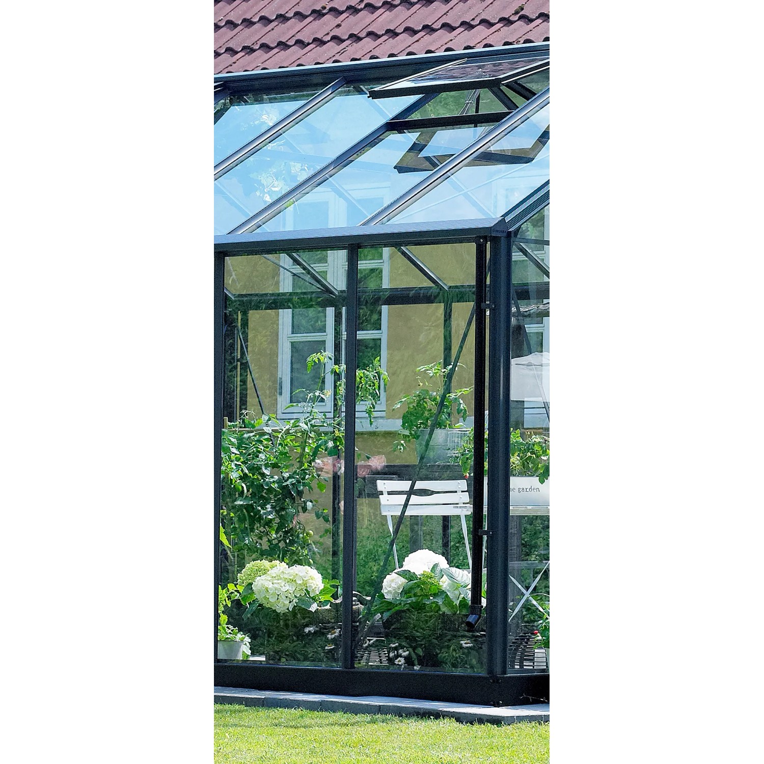 Detailaufnahme: Juliana Gewächshaus Premium 8, anthrazitfarbener Rahmen, Glas, Pflanzen im Inneren.