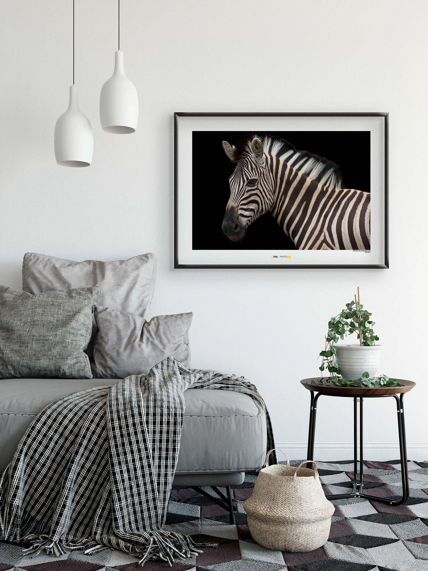 Damara Wandbild Zebra Komar gerollt bei x OBI 30 kaufen 40 cm