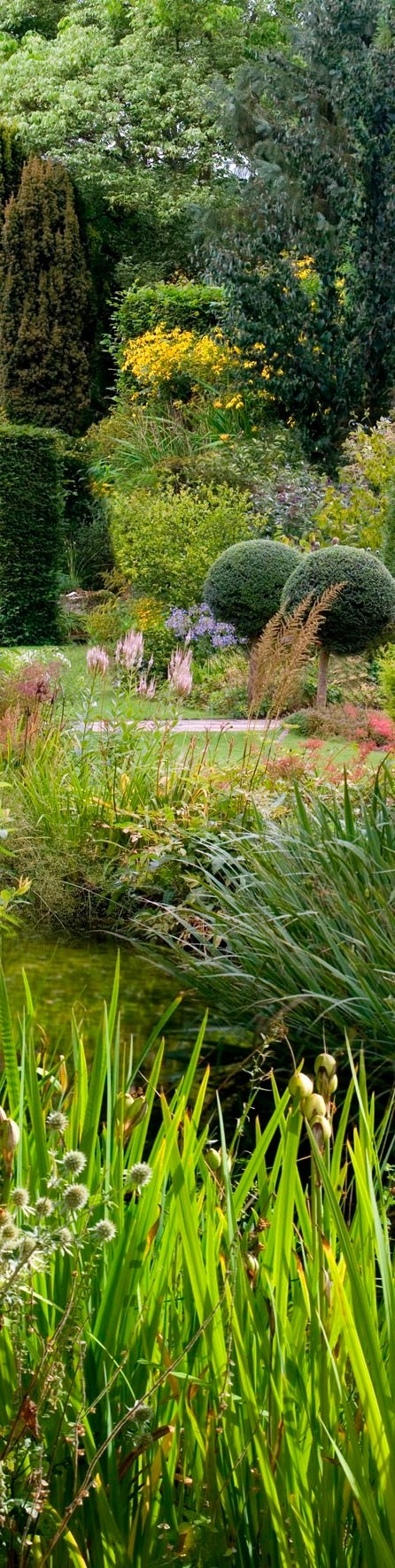 Wandpaneel Garten kaufen bei OBI