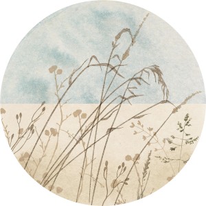 Komar Vliesfototapete Dot Gazon selbstklebend Ø 125 cm