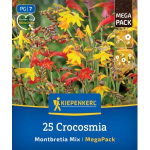 Kiepenkerl Blumenzwiebeln Montbretien Mischung