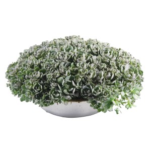 Sedum Orostachys im Zink-Gefäß, eine bepflanzte Schale für den Außenbereich. Durchmesser ca. 29 cm.
