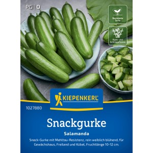 Kiepenkerl Salatgurke Salamanda F1
