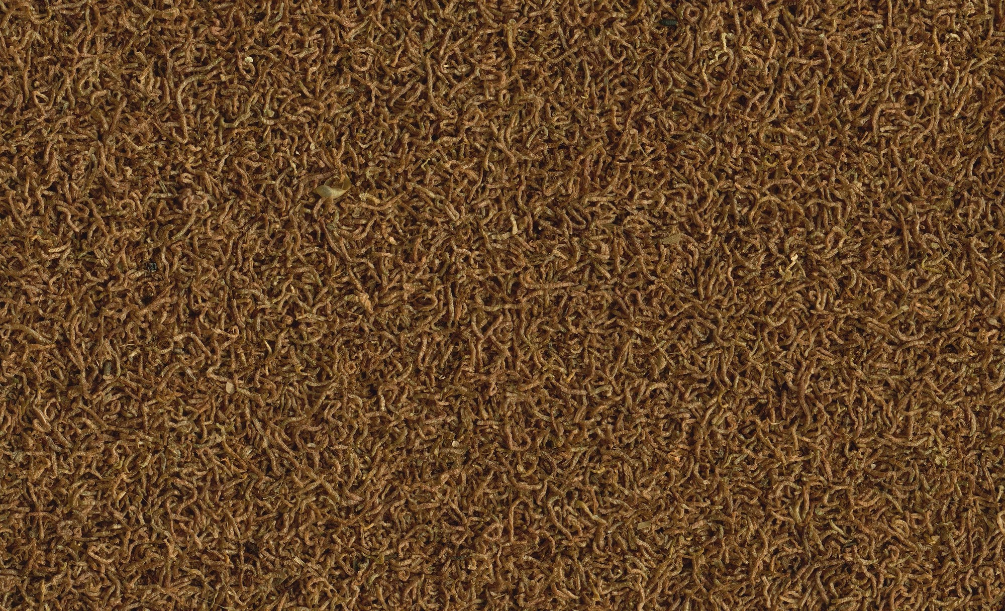 Tetra Aquarium-Fischfutter Delica Mückenlarven 100 ml kaufen bei OBI