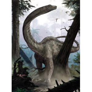 Komar Fototapete Vlies Rebbachisaurus 184 x 248 cm