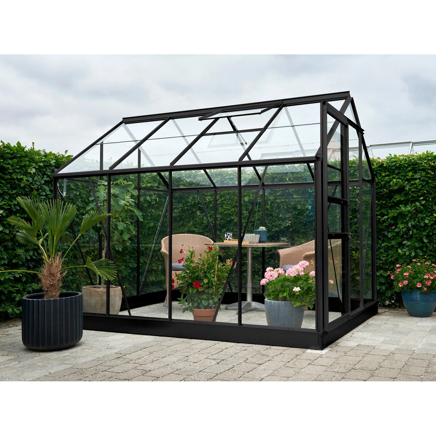 Schwarzes Halls Gewächshaus Popular 86 mit Pflanzen und Tischgruppe, 5 m² inkl. Fundamentrahmen.