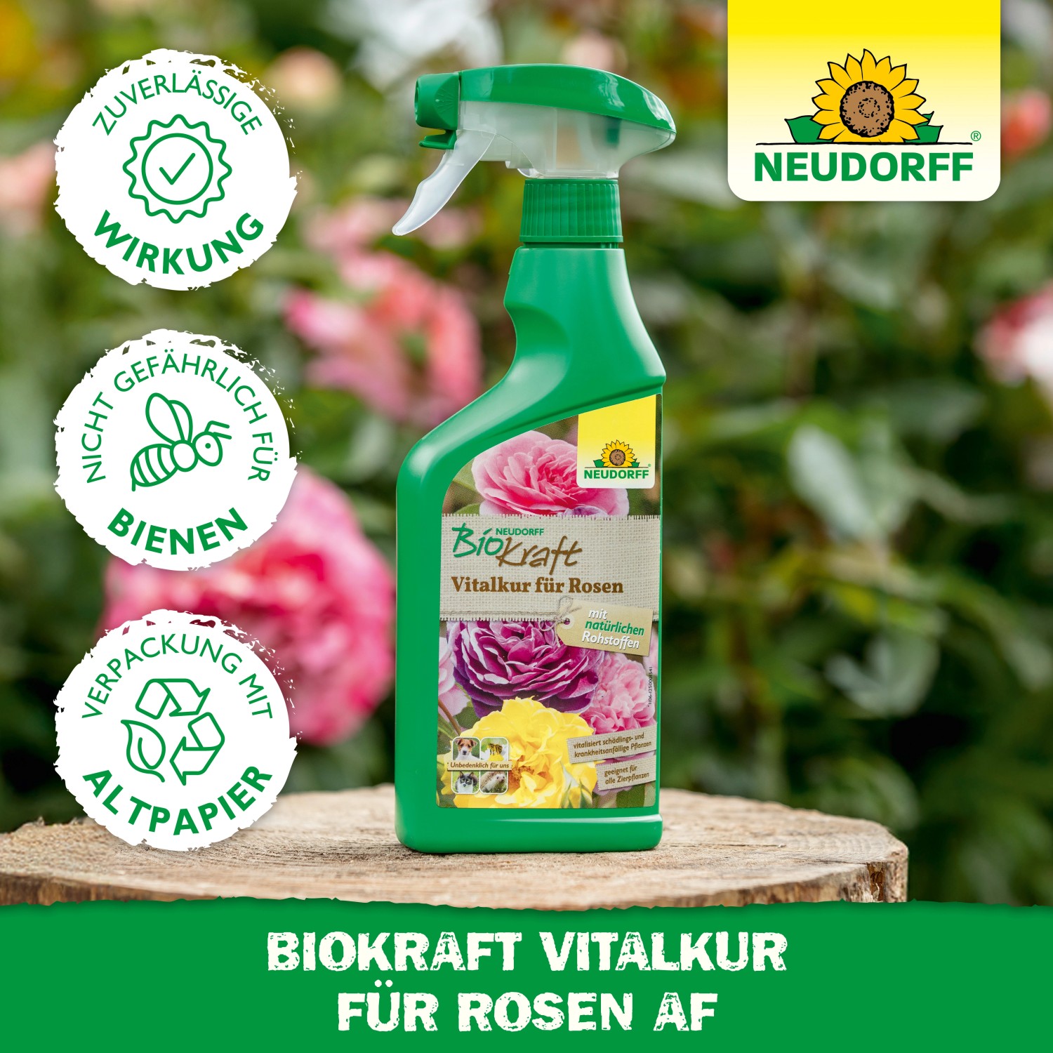 Neudorff BioKraft Vitalkur für Rosen AF 500ml im grünen Sprühflasche vor Rosenbüschen.