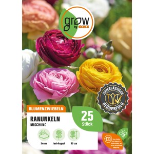 GROW by OBI Ranunkel Asiatische Mischung, verschiedene Farben. Blumenzwiebeln für Beet und Balkon.