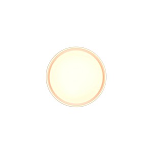 Weiße, runde Reality LED-Deckenleuchte Felis, 40 cm Durchmesser. Moderne Lampe mit Fernbedienung.