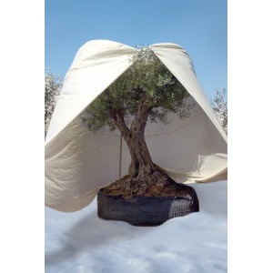 Beige Winterschutz Vlieshaube Mediterran (350x250cm) schützt große Pflanzen vor Frost.