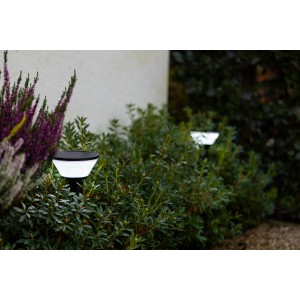 Lutec Karlo Solar-Wegeleuchte, 45 cm, schwarz, mit LED, im Garten zwischen Pflanzen.
