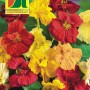Austrosaat Kapuzinerkresse Saatgut, mehrfarbige, halbgefüllte Blüten Mischung.