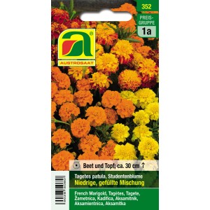 Austrosaat Tagetes Saatgut, niedrige gefüllte Mischung in Orange und Gelb.