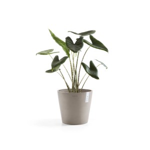 Ecopots Pflanztopf Amsterdam Braungrau 30 cm