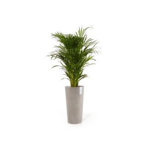 Ecopots Pflanztopf Amsterdam Extrahoch Taupe 50 cm x 90 cm