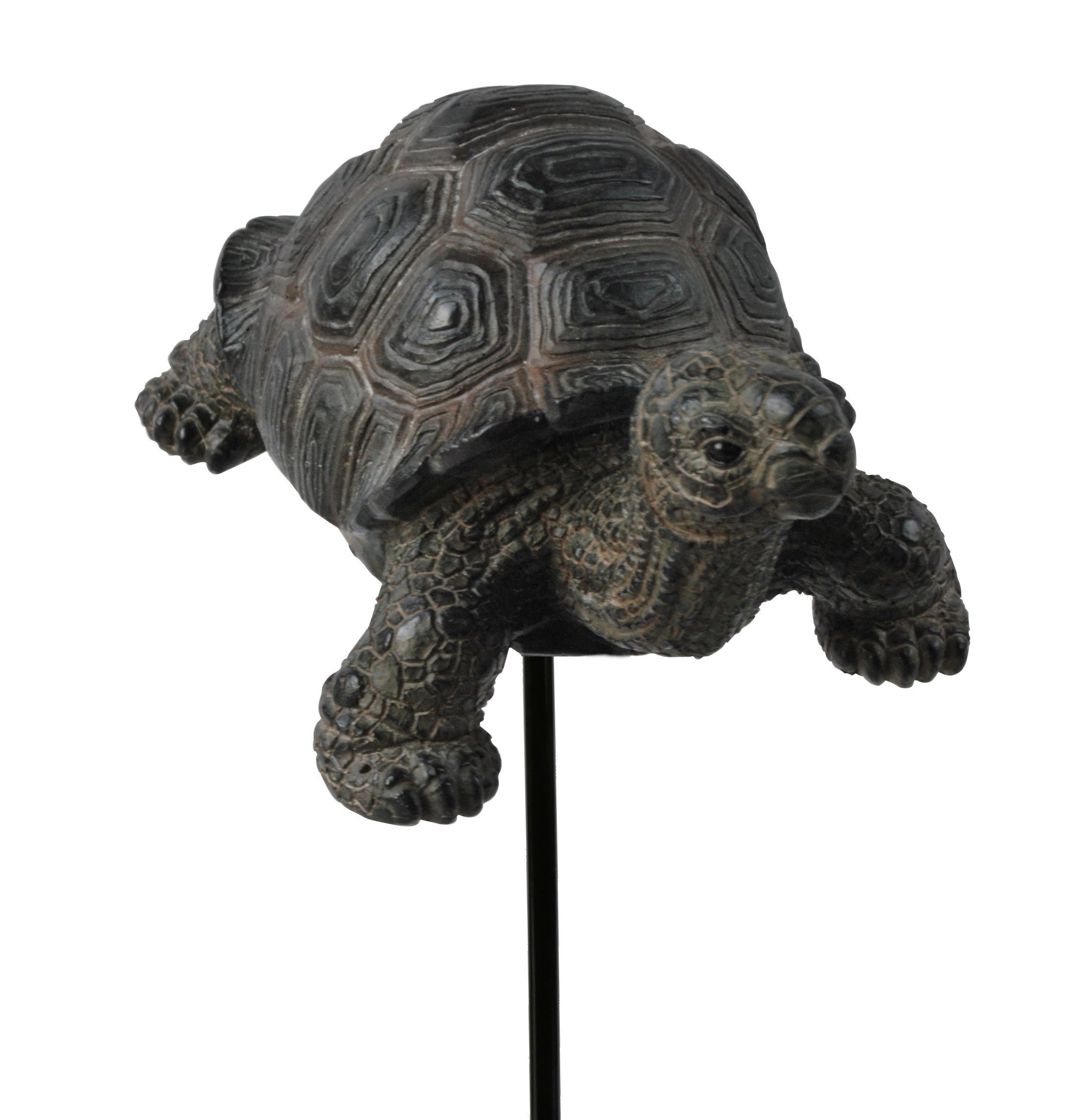 Deko-Figur Baby Schildkröte auf Stab 11 cm kaufen bei OBI