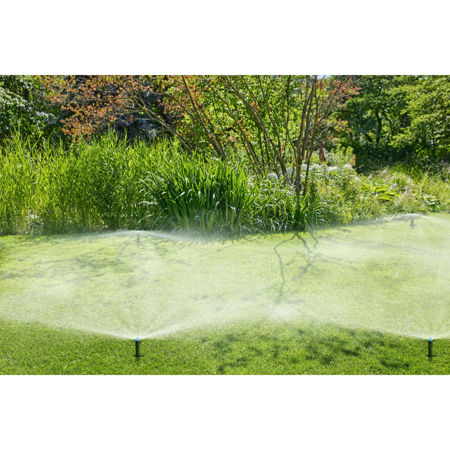 Gardena Versenkregner SD30 im Einsatz: Automatische Rasenbewässerung im Garten.