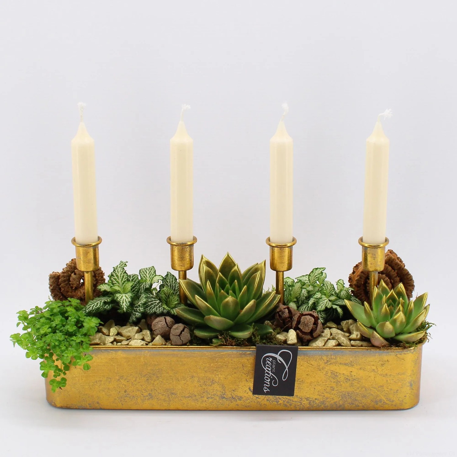 Weihnachtliches Pflanzen-Arrangement mit Kerzen Topf-Länge ca. 38 cm kaufen bei OBI