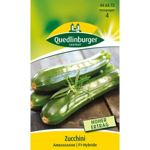 Quedlinburger Zucchini 'Ambassador', dunkelgrüne, glatte Früchte für den Freilandanbau.
