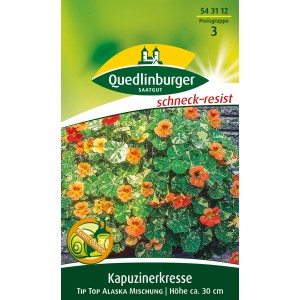 Samenpackung Quedlinburger Kapuzinerkresse 'Tip Top Alaska Mischung' mit orangefarbenen Blüten und weiß-grünen Blättern.