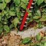 Einhell Akku-Heckenschere Arcurra 18/55 beim Heckenschneiden, Messer im Detail.