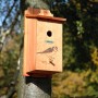Holz-Nistkasten mit Blaumeisen-Motiv, angebracht an einem Baumstamm. Ideal für Meisen.