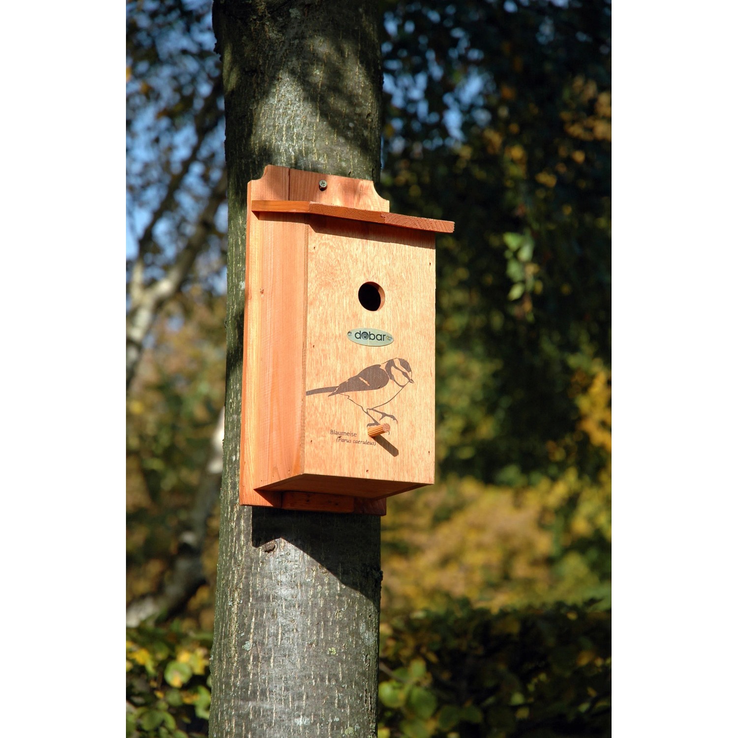 Holz-Nistkasten mit Blaumeisen-Motiv, angebracht an einem Baumstamm. Ideal für Meisen.