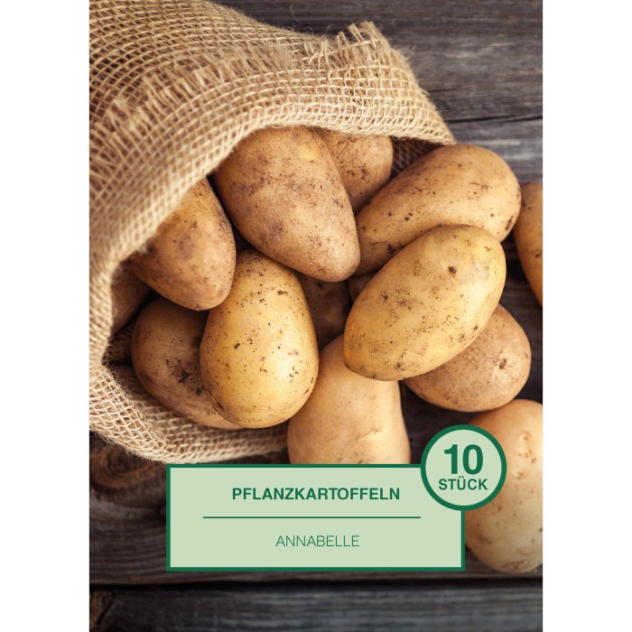 Saatkartoffeln kaufen bei OBI