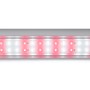 Venso LED-Tent Canna 180 cm x 80 cm x 80 cm_6