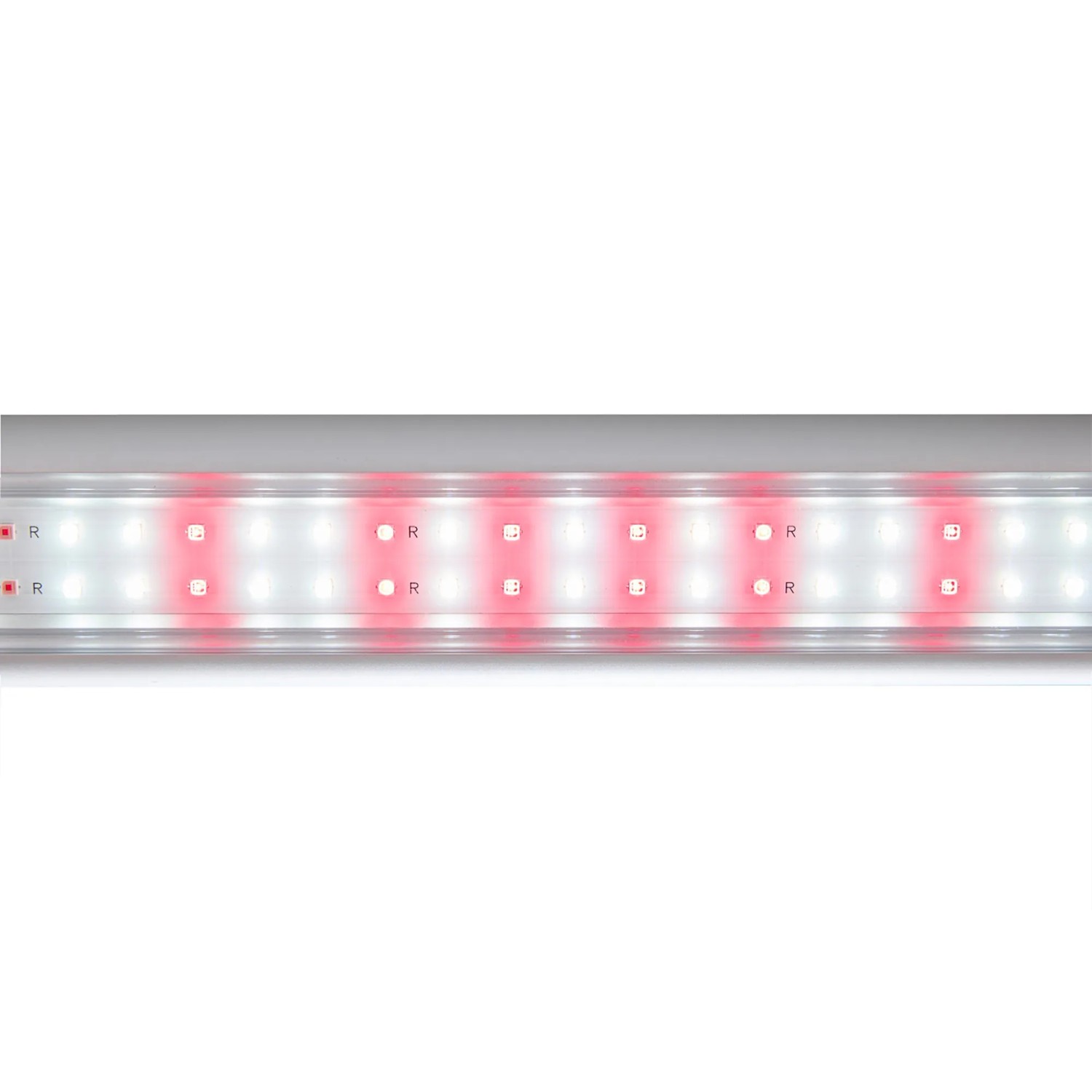 Venso LED-Tent Canna 180 cm x 80 cm x 80 cm_6