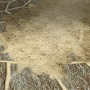 Sandfarbener MEM Fix-Fertig-Fugenmörtel (25 kg) zwischen Pflastersteinen.