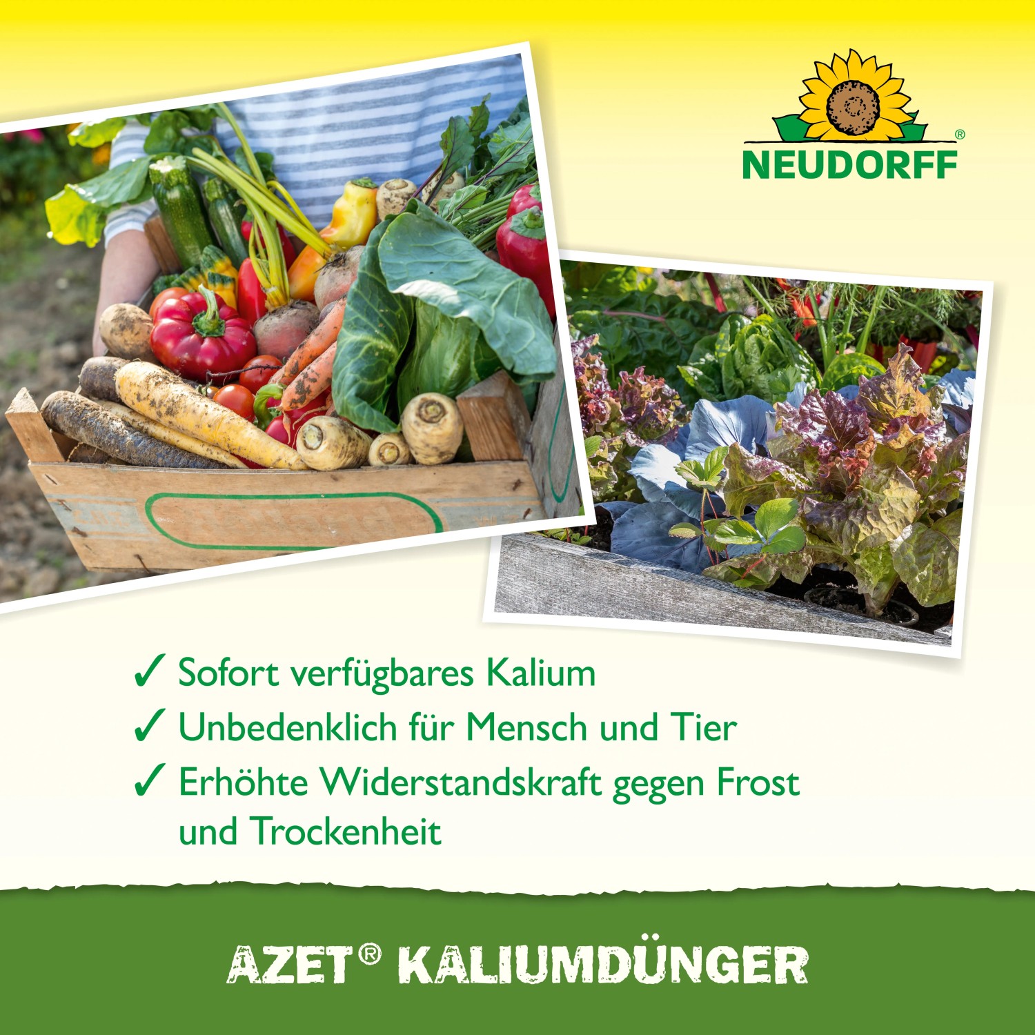 Neudorff Kaliumdnger Azet 2 kg kaufen bei OBI