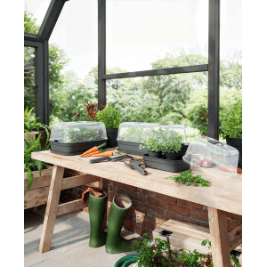 Artevasi Anzucht-Haube Madagascar L, transparent, für Pflanzenanzucht im Gewächshaus.