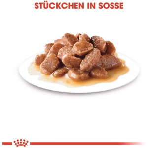 Royal Canin Hair & Skin Care Katzennahrung Nass, Stückchen in Soße auf einem Teller.