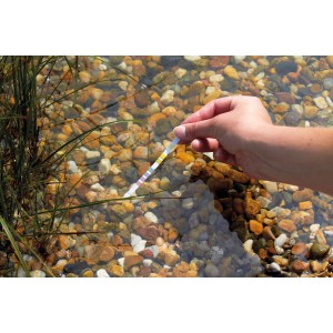 AquaActiv Wassertester QuickStick 6 in 1 im Einsatz im Gartenteich.